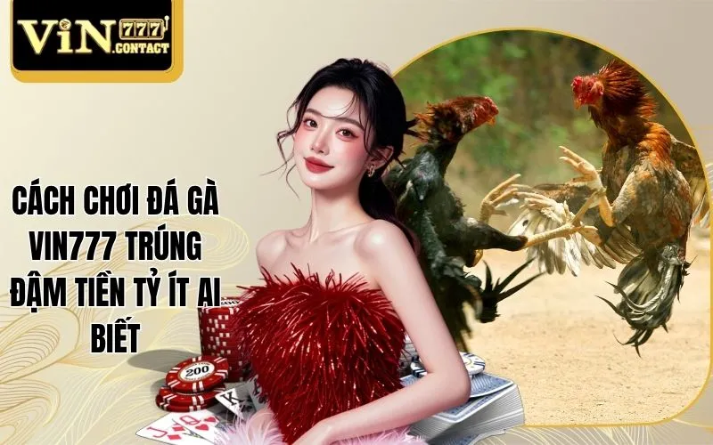 Cách Chơi Đá Gà Vin777 Trúng Đậm Tiền Tỷ Ít Ai Biết 1 Cách chơi đá gà Vin777