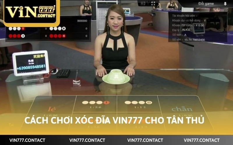 Cách Chơi Xóc Đĩa VIN777 - Giải Trí Mỗi Ngày Rinh Về Quà Lớn 3 Cách chơi xóc đĩa VIN777 cho tân thủ lần đầu cược