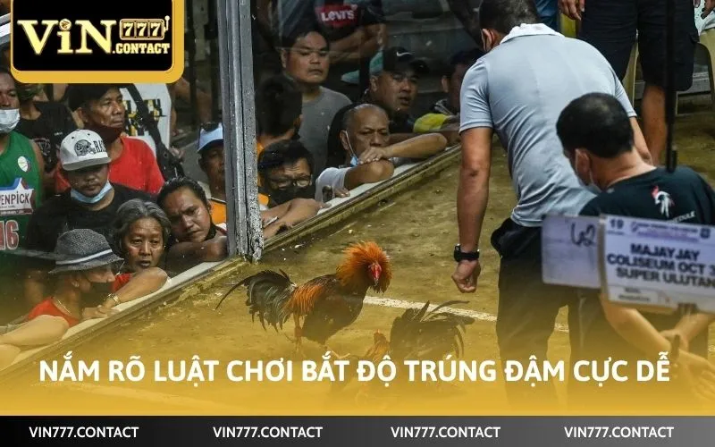 Cách Chơi Đá Gà Vin777 Trúng Đậm Tiền Tỷ Ít Ai Biết 2 Nắm rõ luật chơi bắt độ trúng đậm cực dễ